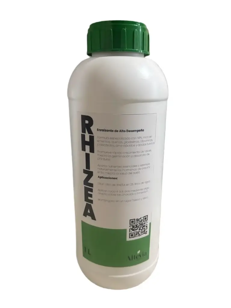 RHIZEA