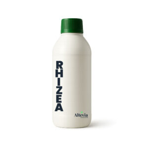 Rhizea